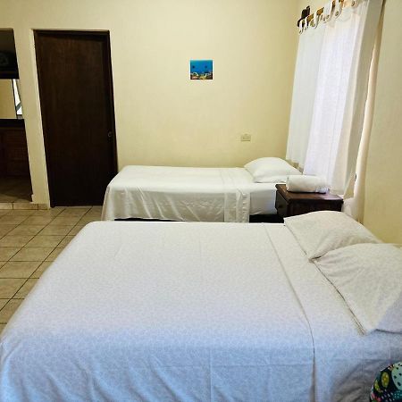 Bungalow Cirujano Apartment Cabo Pulmo Luaran gambar