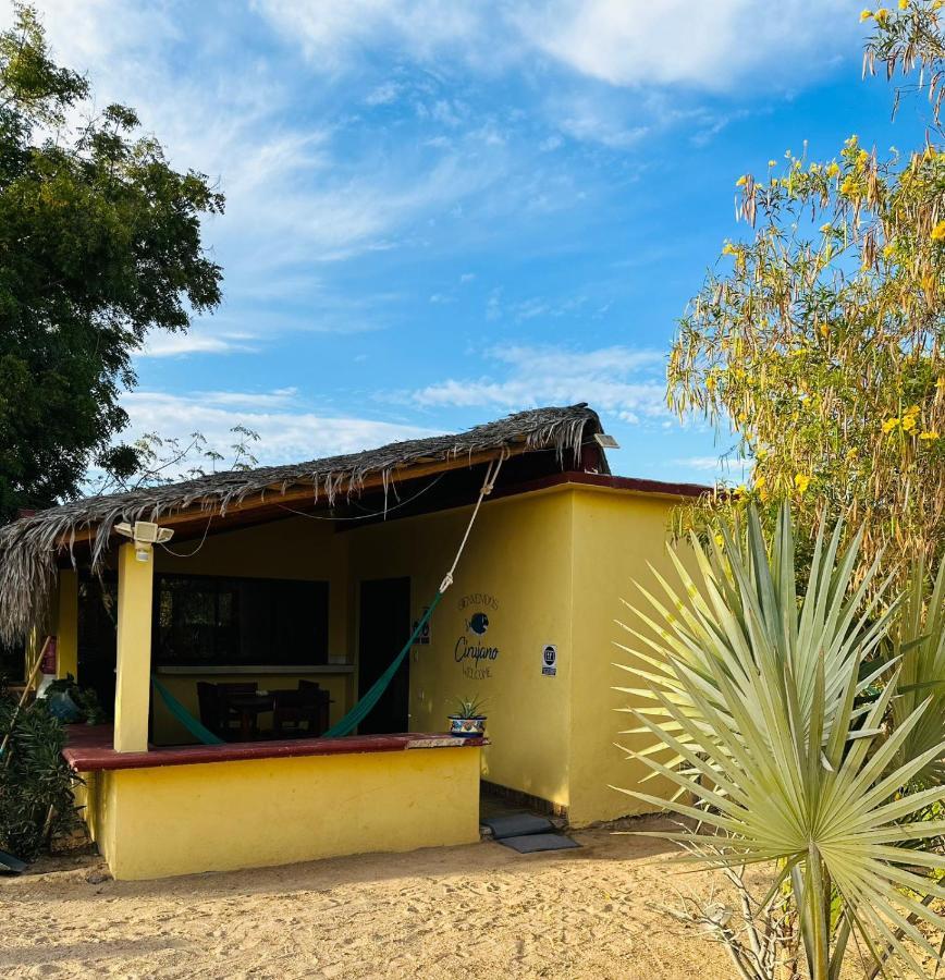 Bungalow Cirujano Apartment Cabo Pulmo Luaran gambar